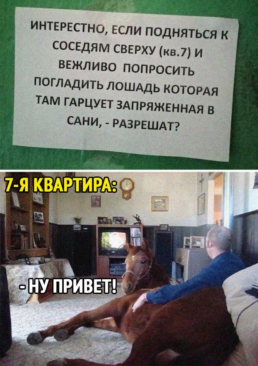 Привет лошадка-сосед