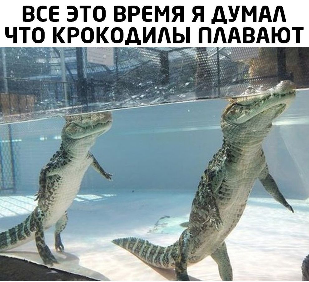 Удивили
