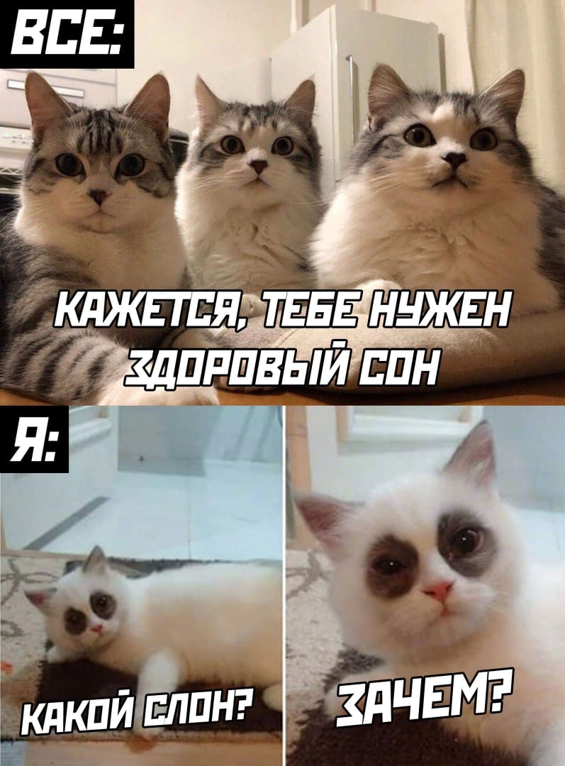 Сон для слабаков