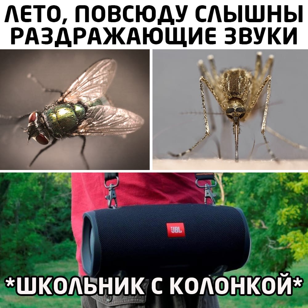Школьник с колонкой