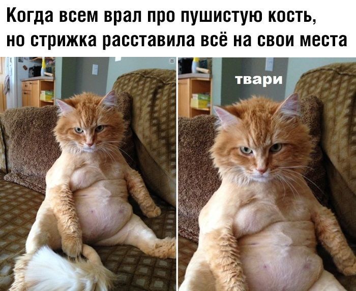 Правду не скроешь