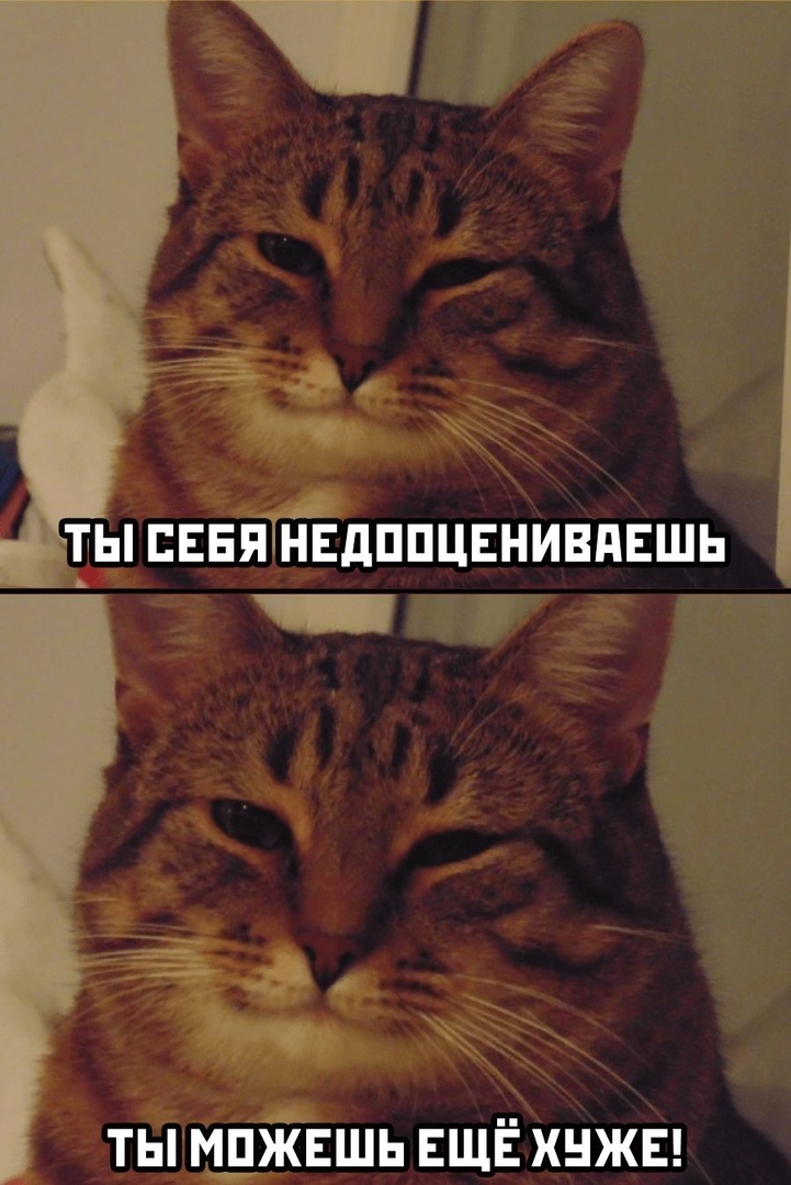 Самооценка