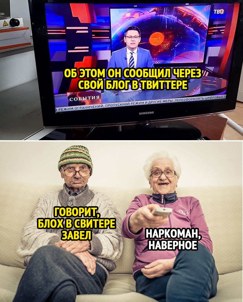 Блохи в свитере