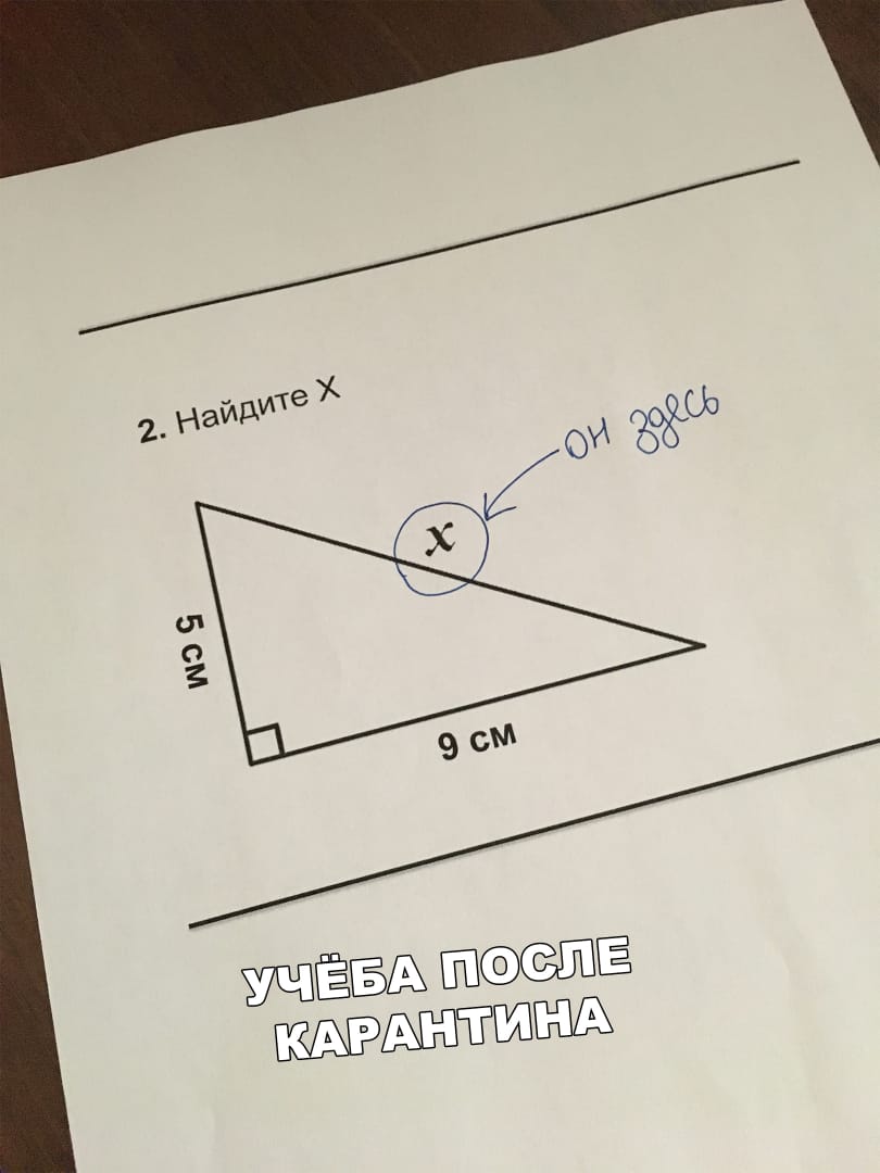 Учёба после карантина