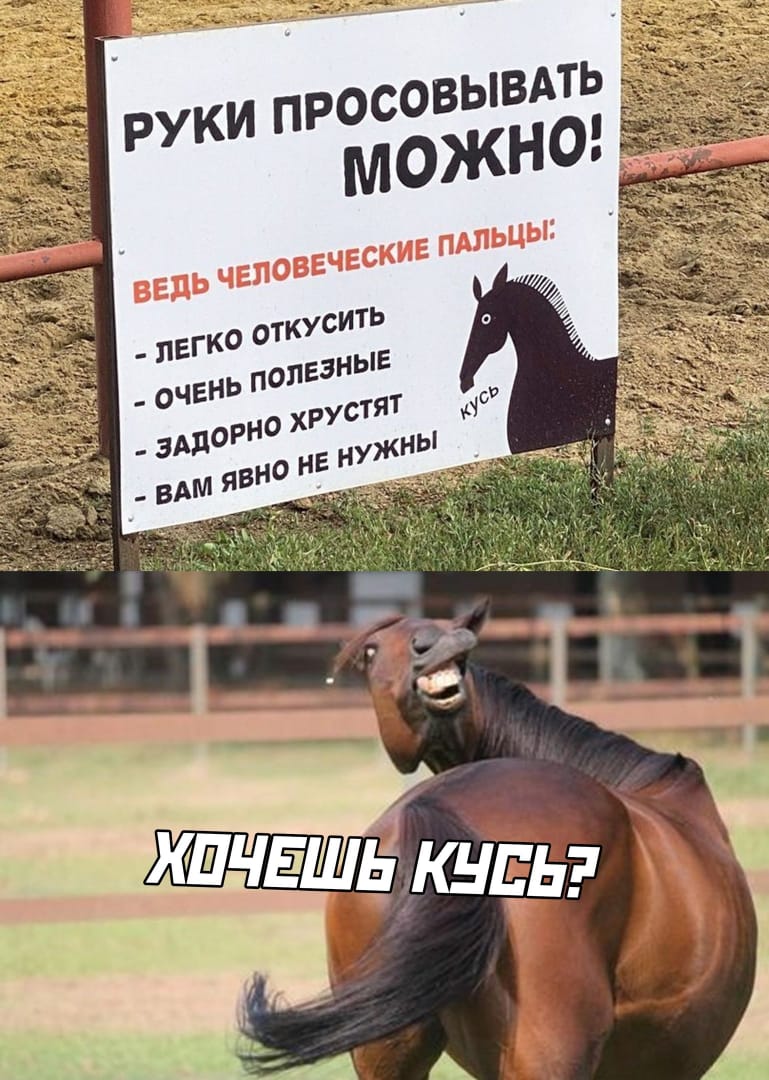 Конечно можно