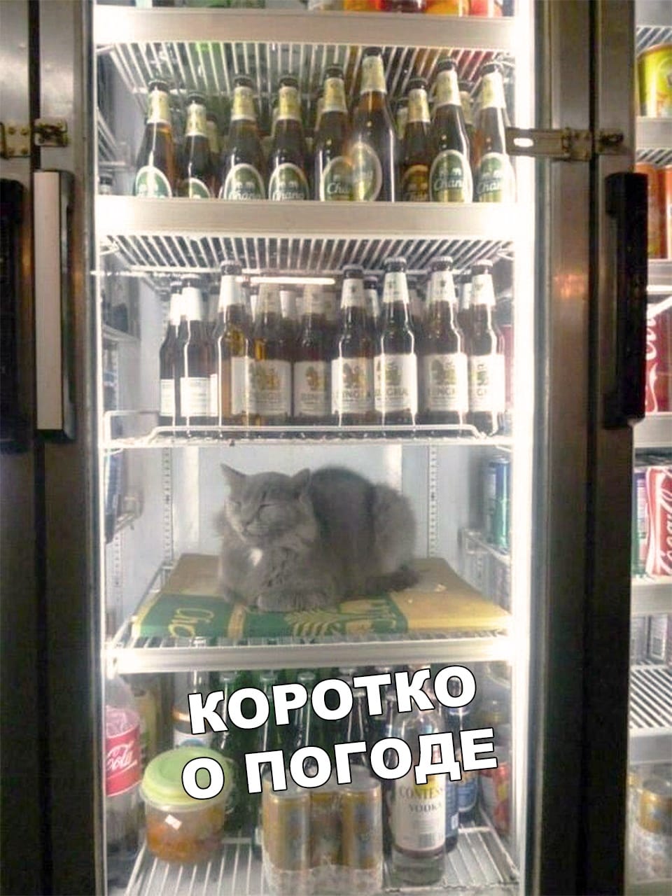 Коротко о погоде