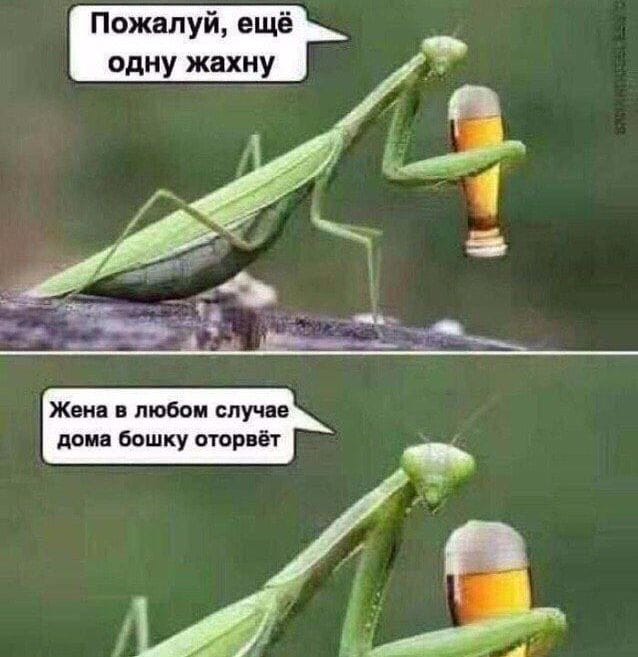 Всё равно убьёт
