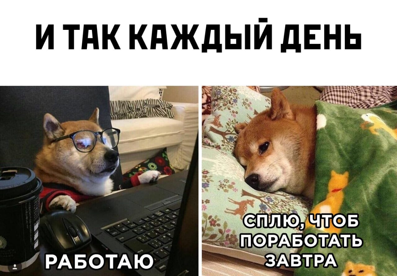 День сурка