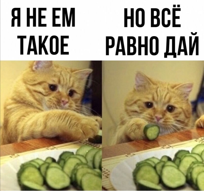 А вдруг буду