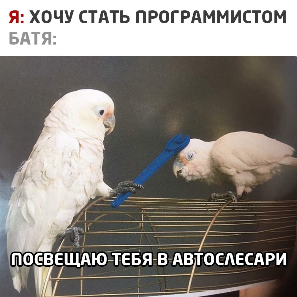 Посвещение отца