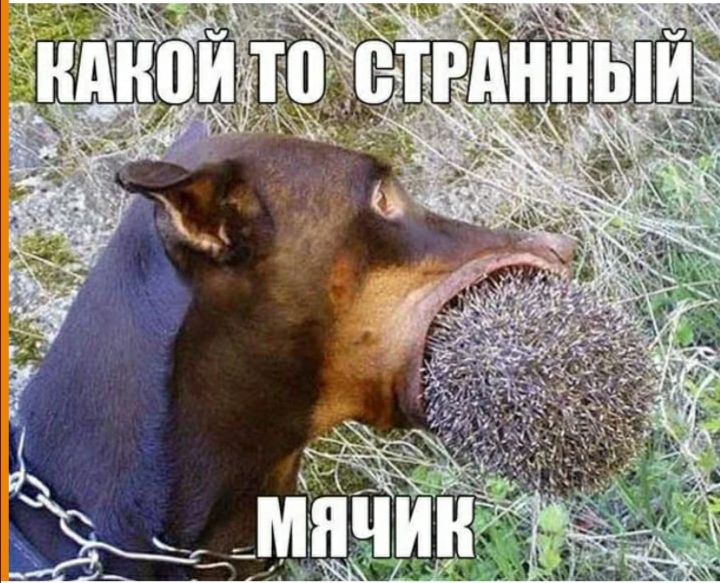 Мячик 