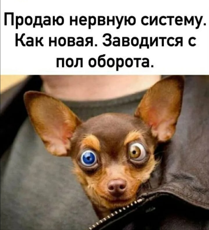 Отличное предложение