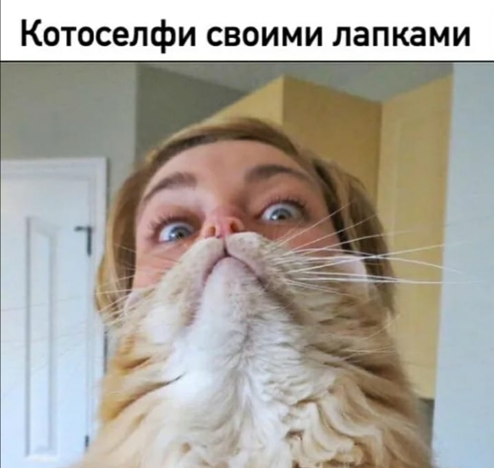 А вы так можете?