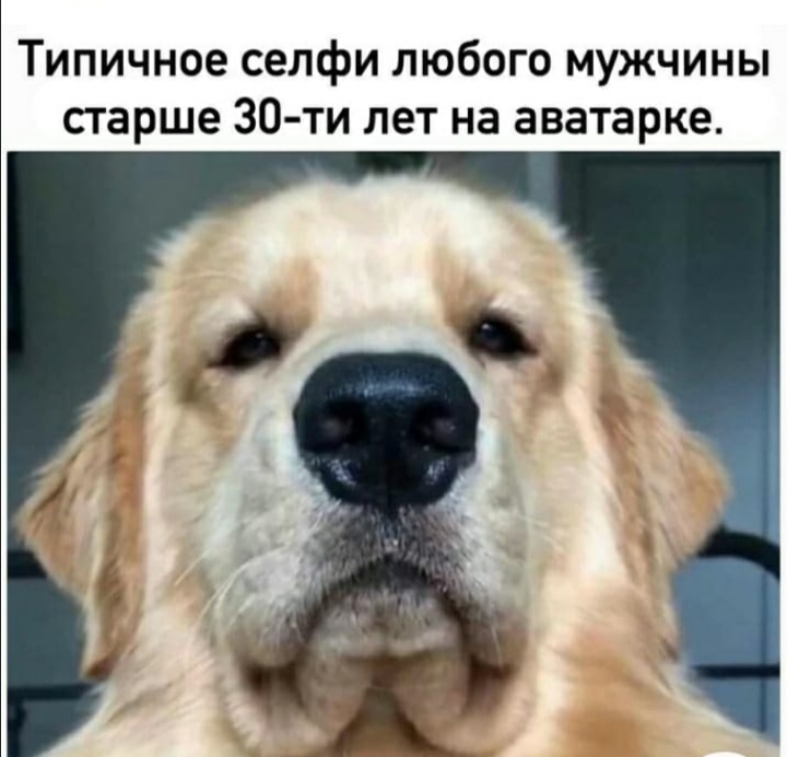 Типичный тридцатник