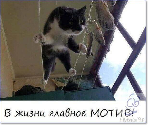 Мотивация