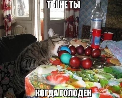 Голод не тётка