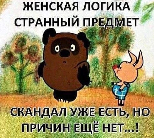 Женская логика