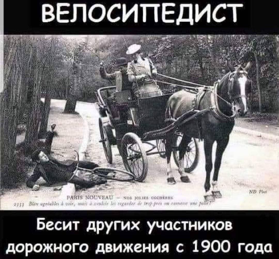 История о ненависти к велосипедистам