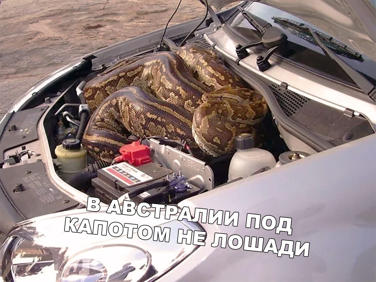Вот в чём дело